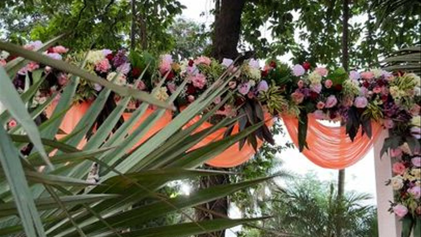 The Blooming Story