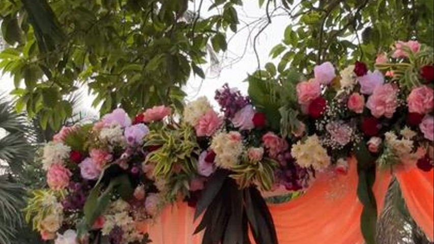 The Blooming Story