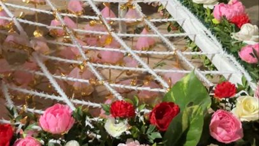 The Blooming Story