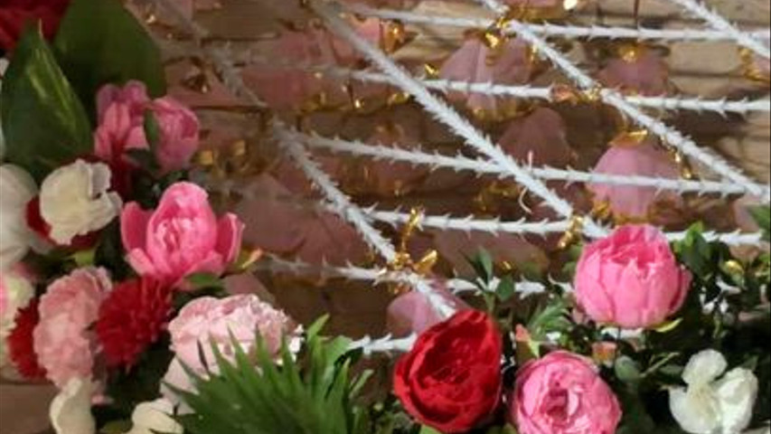 The Blooming Story