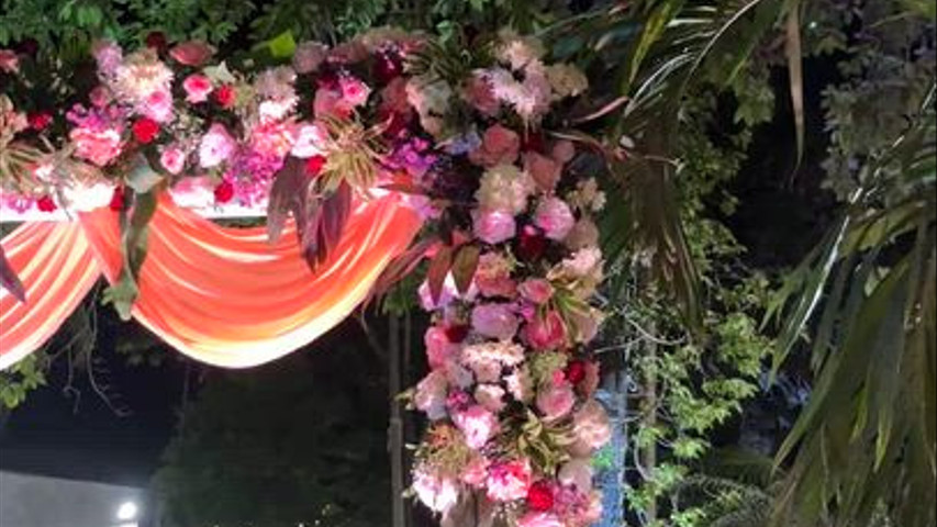 The Blooming Story