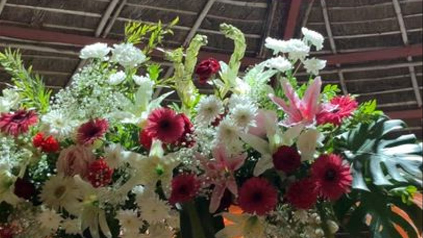 The Blooming Story
