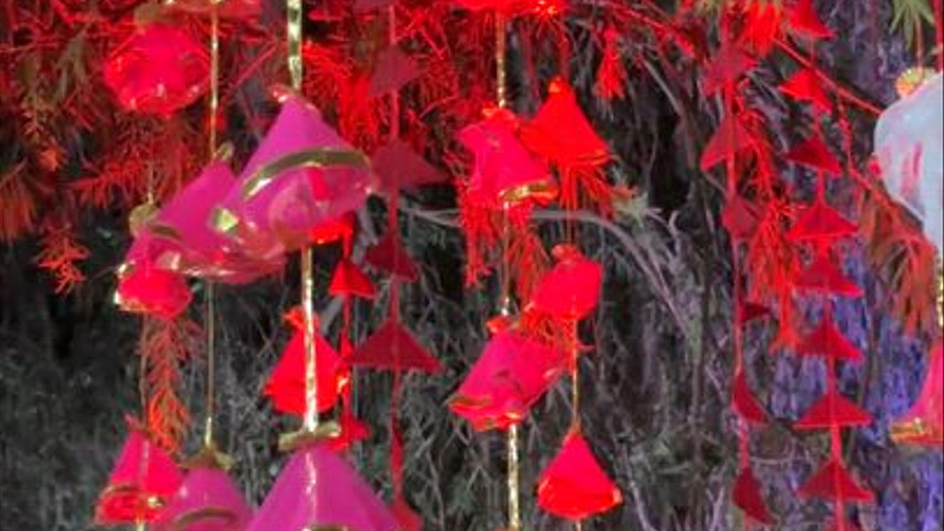 The Blooming Story