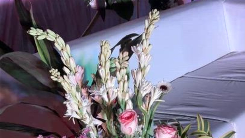 The Blooming Story