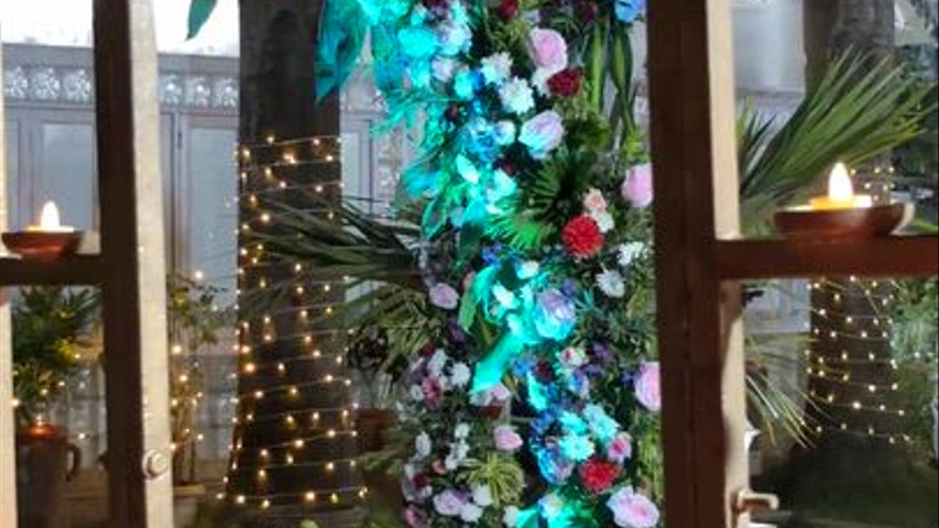 The Blooming Story