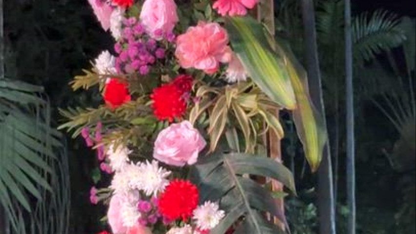 The Blooming Story