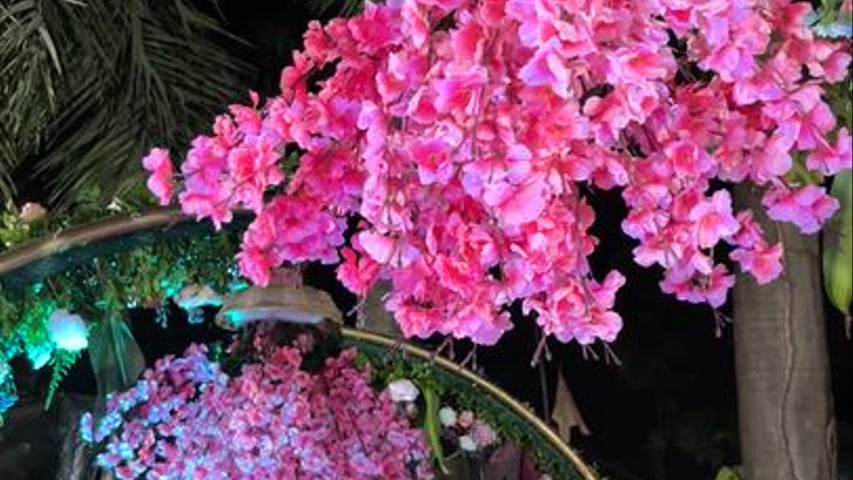 The Blooming Story