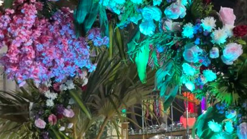 The Blooming Story