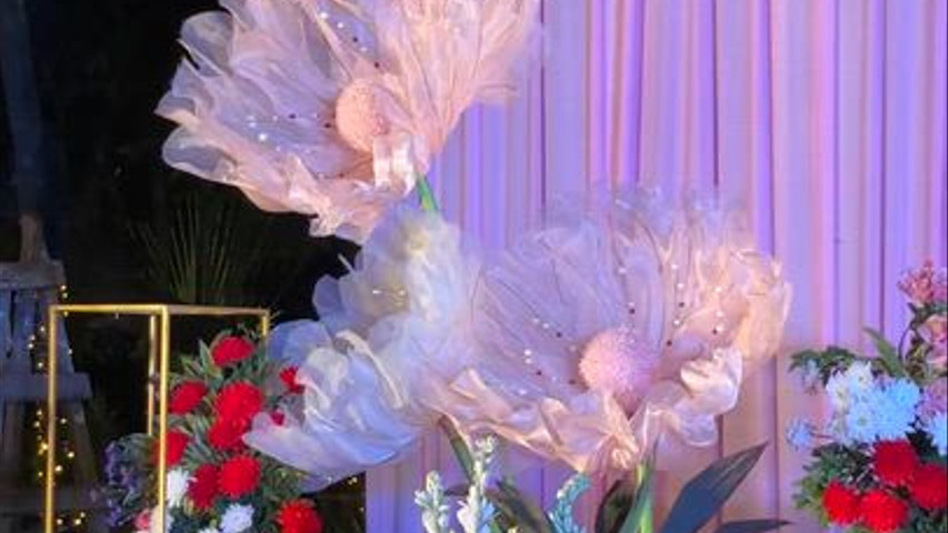 The Blooming Story