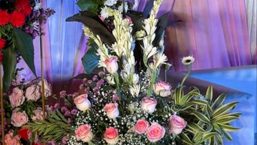 The Blooming Story