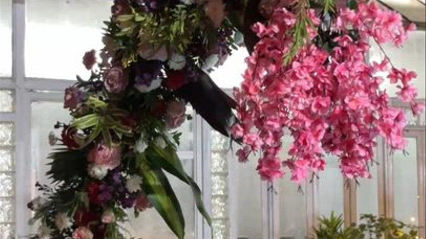 The Blooming Story