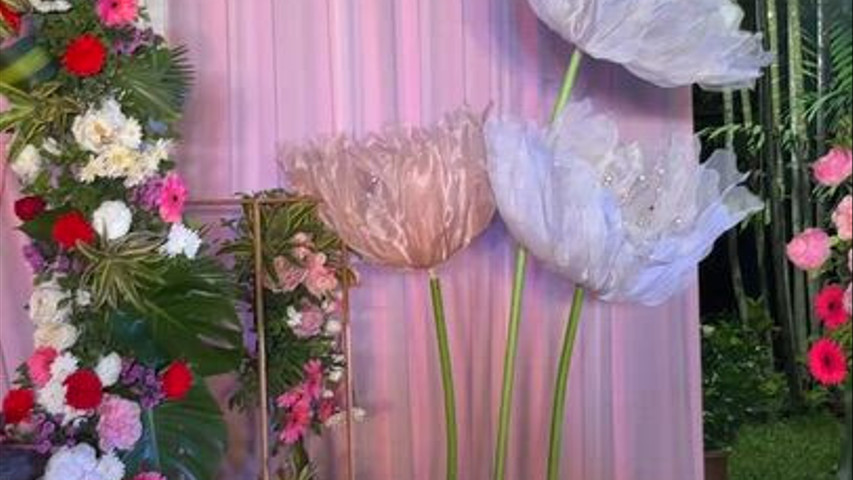 The Blooming Story