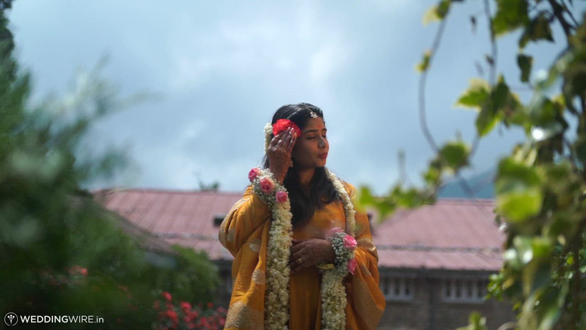 Haldi under apricot tree