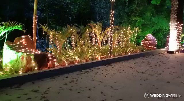 Lighting 