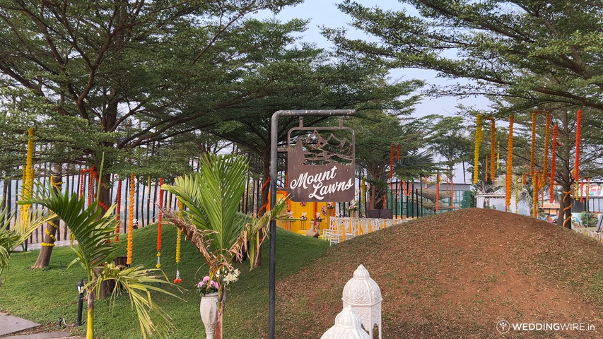 Lawn Area