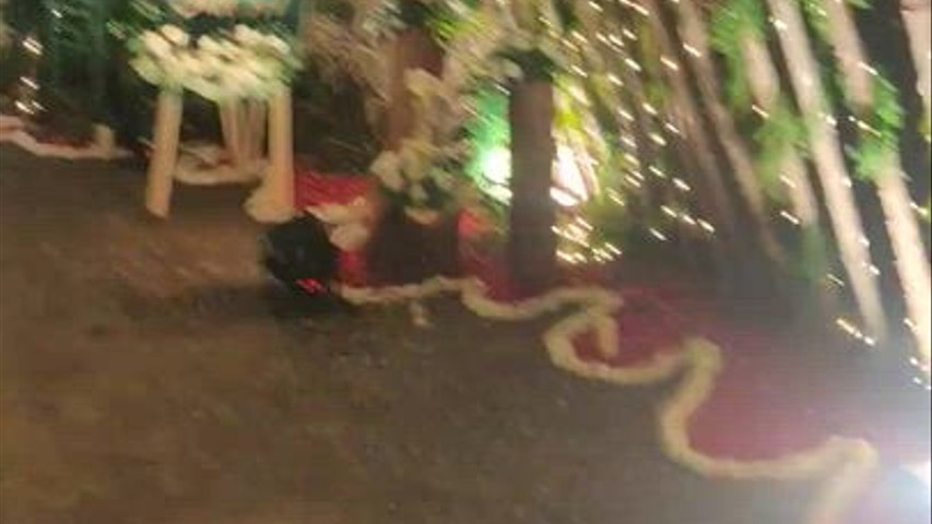 Sangeet Entry