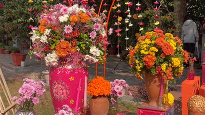 Natraj Event Organizers