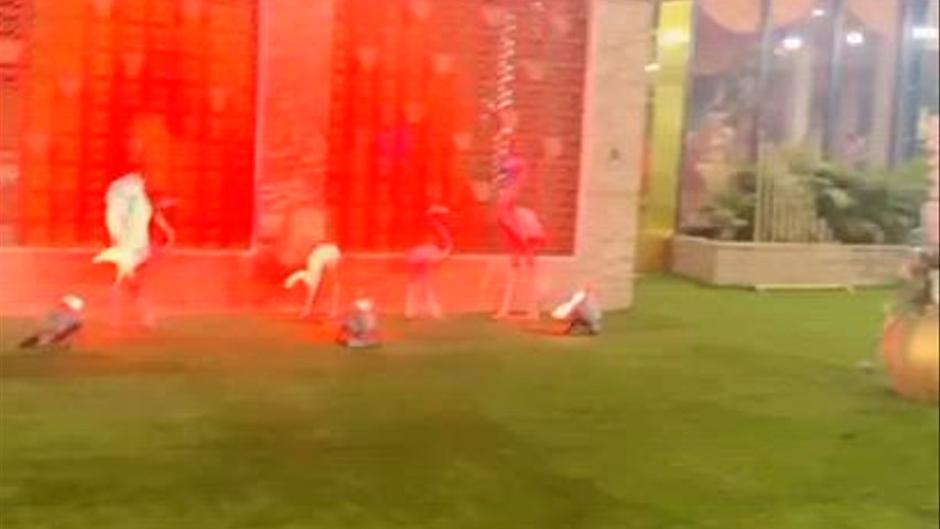 Lawn area and wedding decor