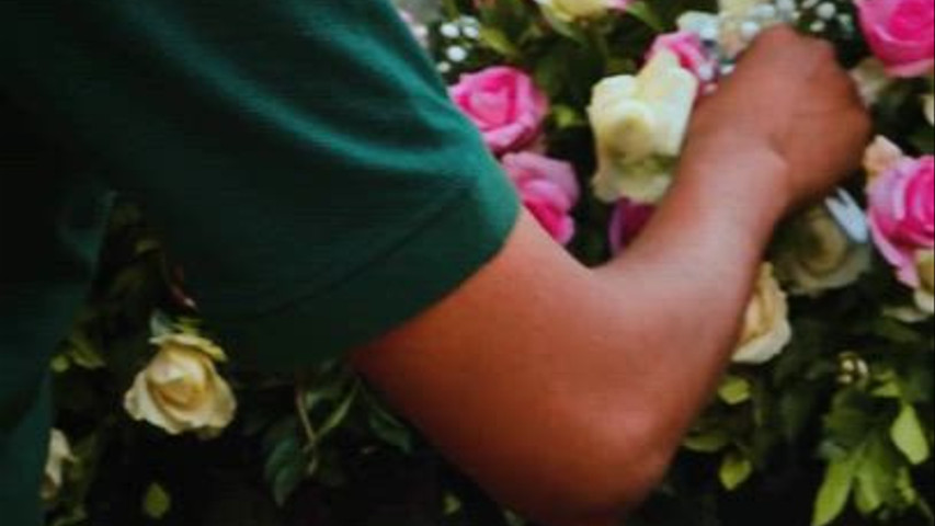 Team kalakaar e reels 1 6 