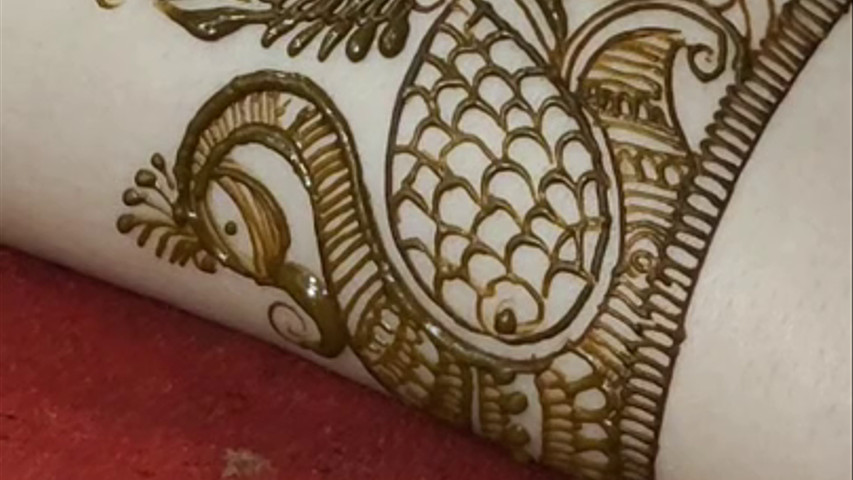 Rajesh Mehendi Art
