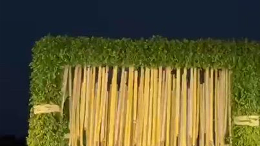 Zundaa Events