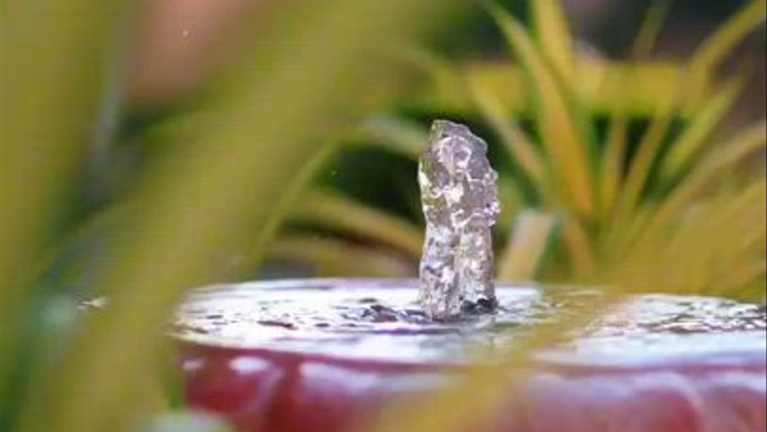 Traavista Aravali Mahal