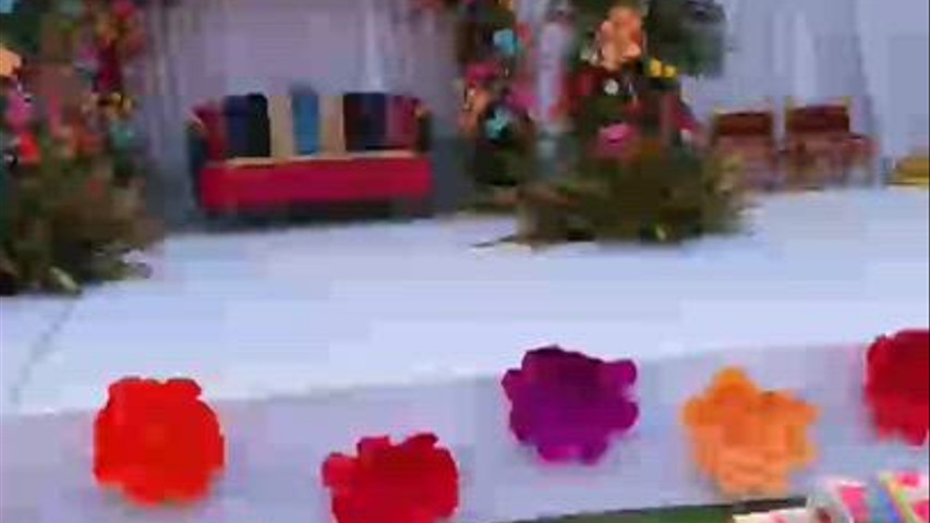 Wedding Event 