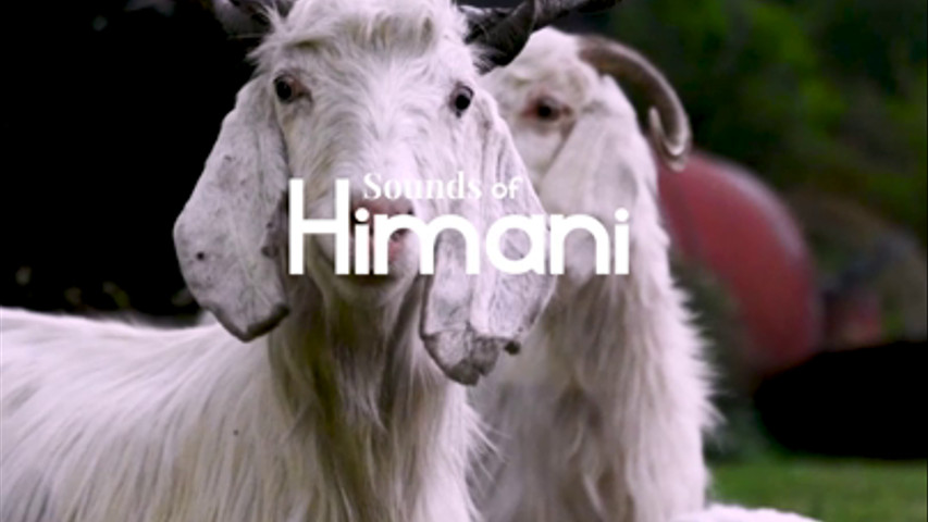 Himani Hill View Retreat