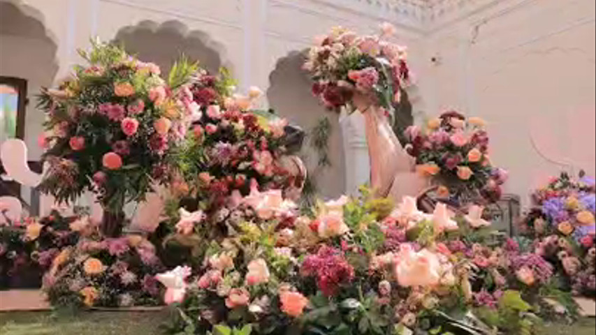 The Raj Palace Hotel 