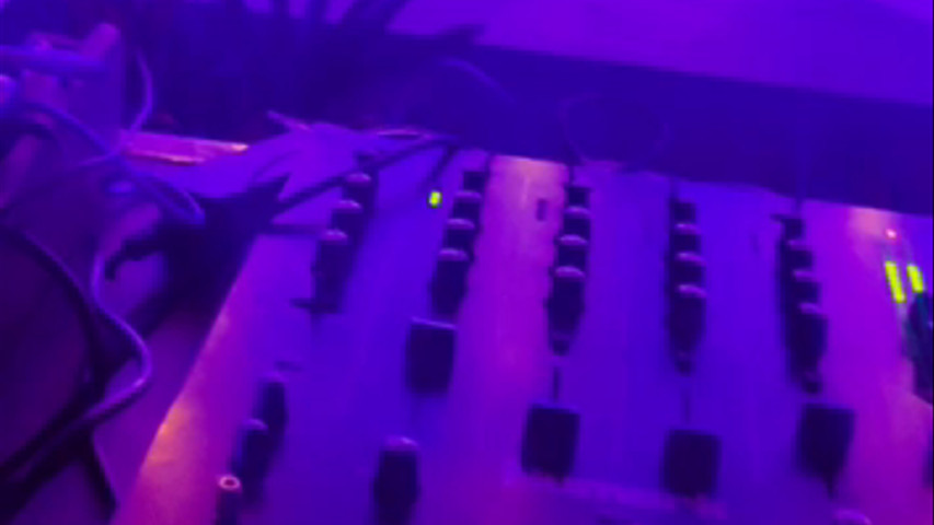 Shanvi's Event, Jaipur