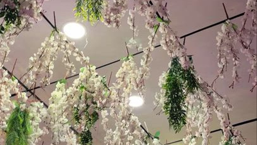 Baba decor & events 