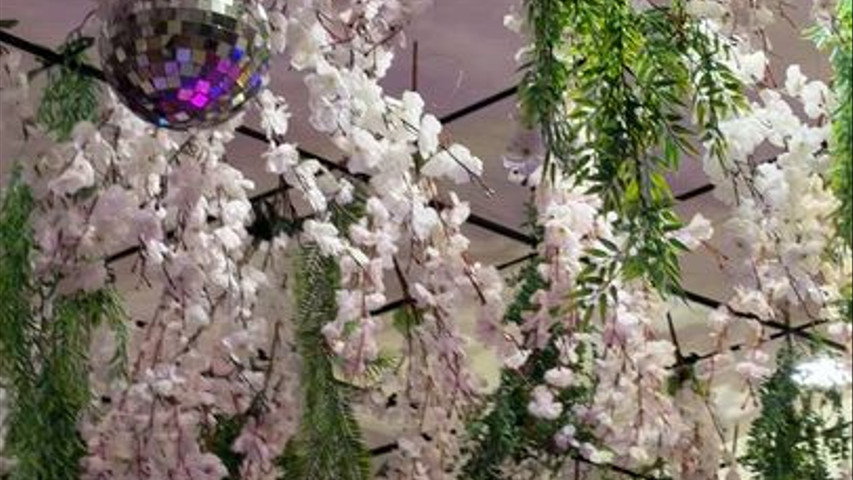 Baba decor & events 
