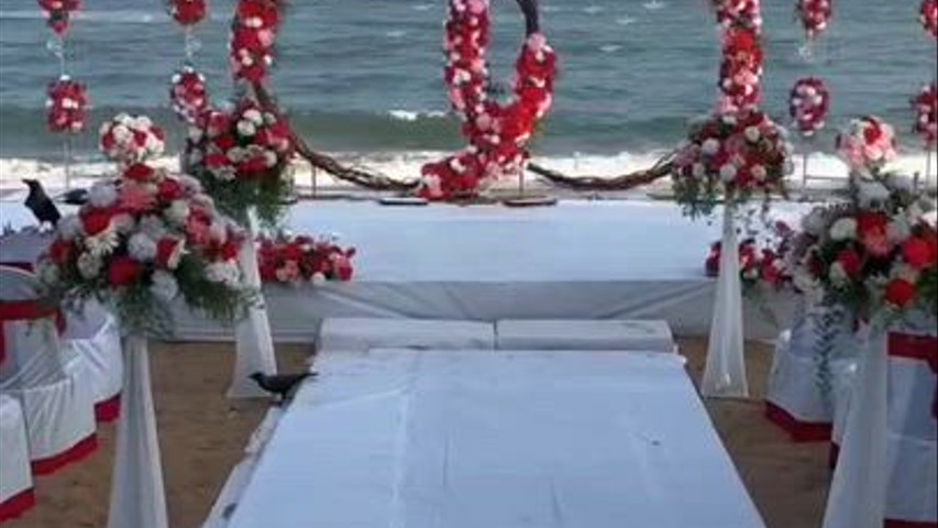 Blue Bay Beach Resort