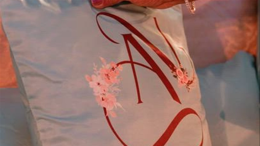 Destination Weddingz Planner