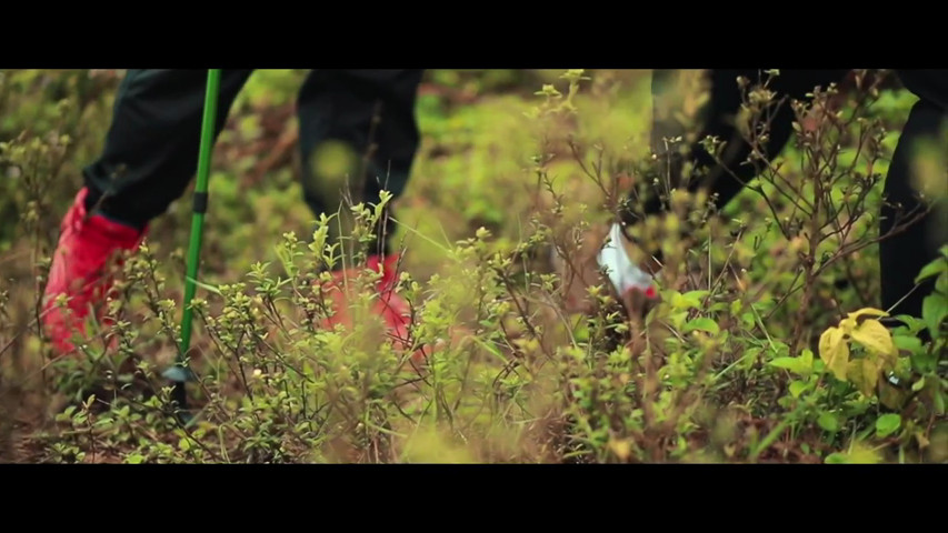 Akhil deepti neelakurinji munnar pre wedding video