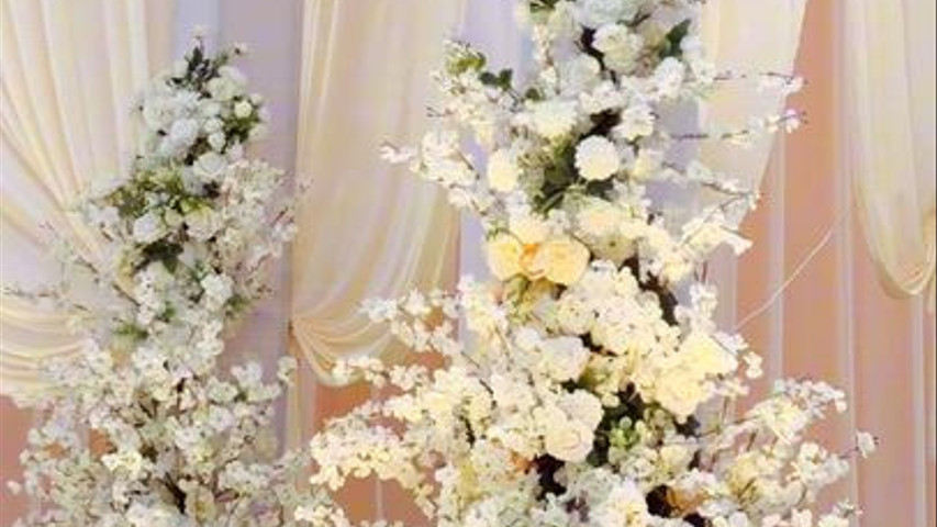 Weddx Entertainment