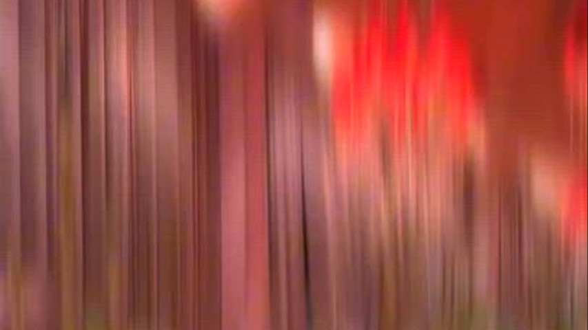Wedding theme decor 