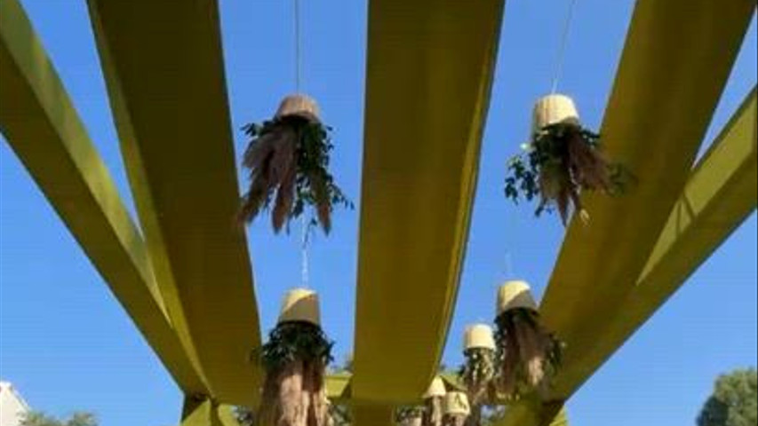 Decorations test guest 