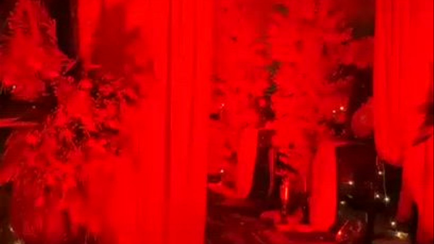 Entrance decor