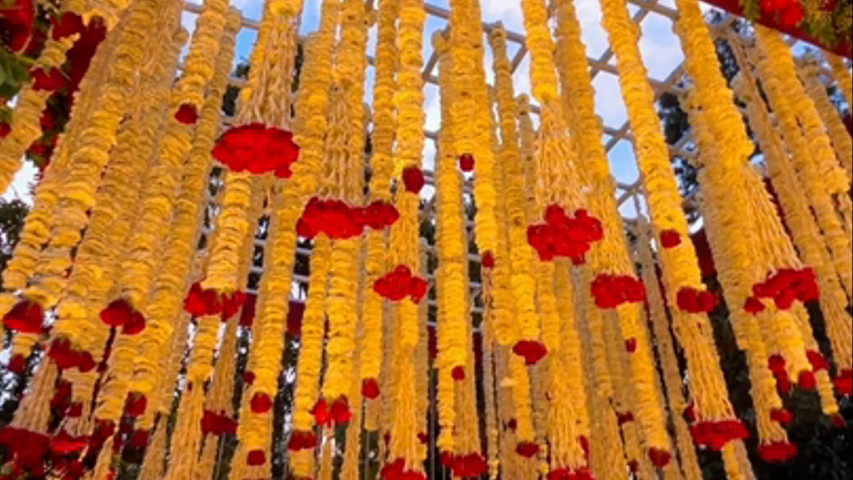 Mandap set up 