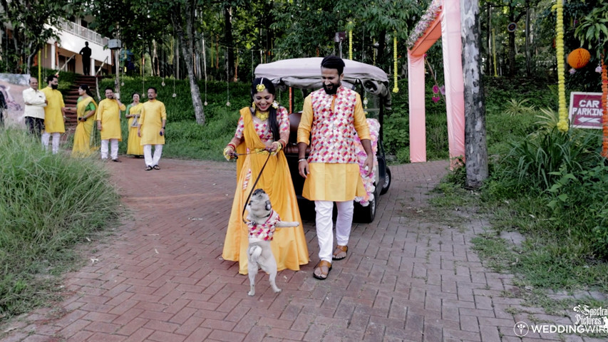 Purva & Tarun | Wedding Teaser | Spectral Pictures 