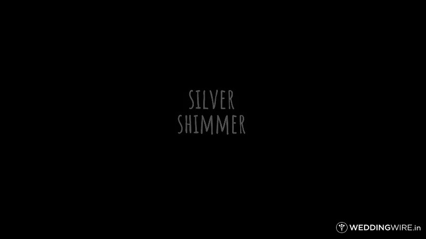 Sillver Shimmer Weddings, Anand Vihar