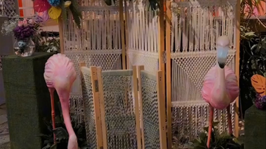 The Blessing Day, Udaipur