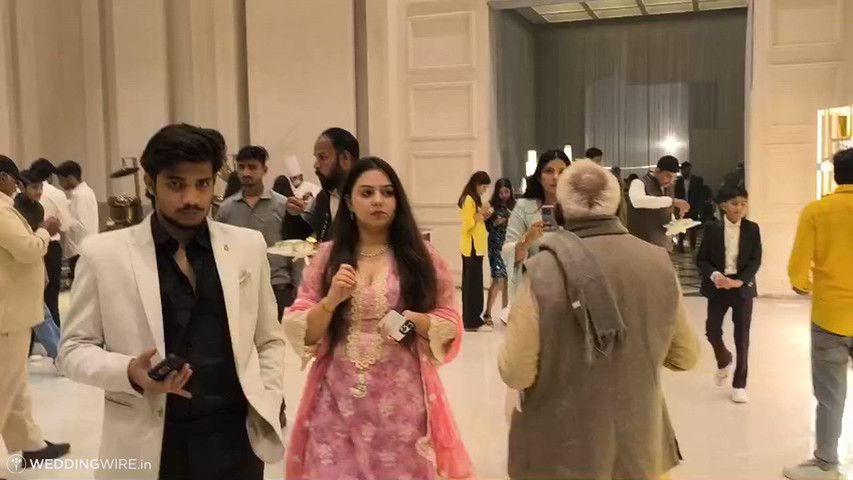 The Wedding Planet-A Pure Vegetarian Wedding Banquet