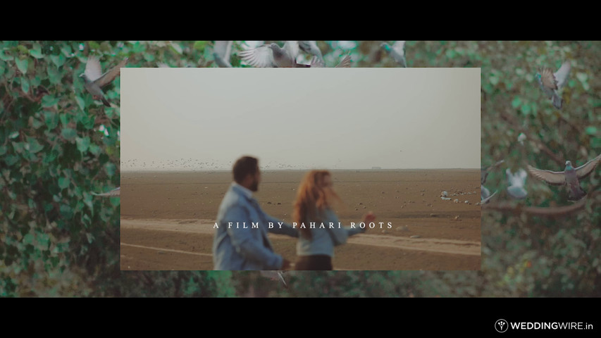 Cinematic Prewedding Teaser 2024 | Abkashika & Raghav | Pong Dam Lake | Pahari Roots photography