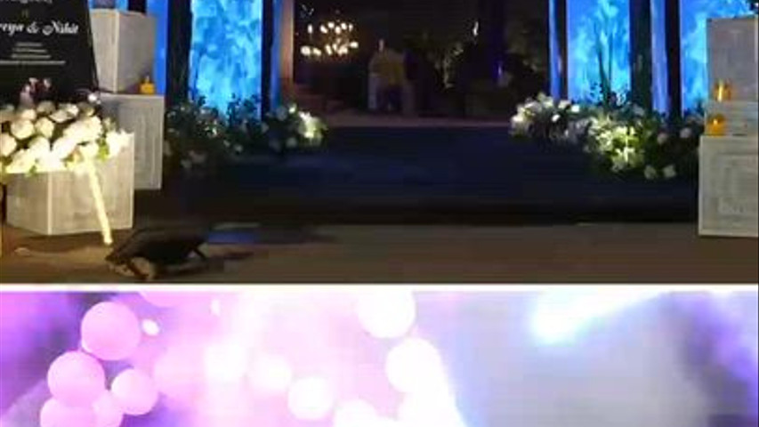 One Venue for Your Dream Wedding  | Haldi, Mehendi, Sangeet & Wedding at Nilansh Theme Park Resort, Lucknow