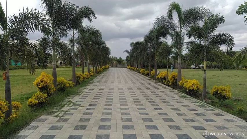 Lawns and garden view