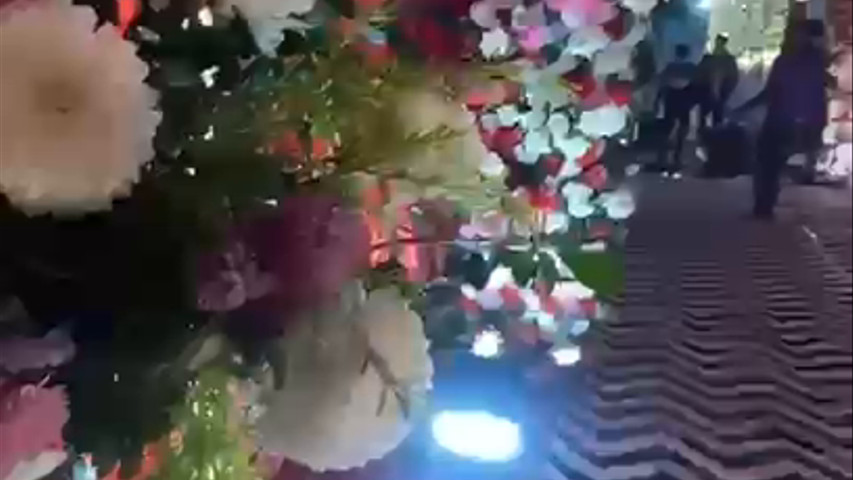 Malya Wedding Planner