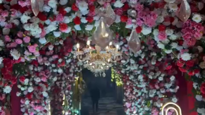 Malya Wedding Planner