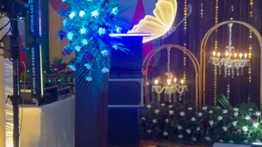 Malya Wedding Planner